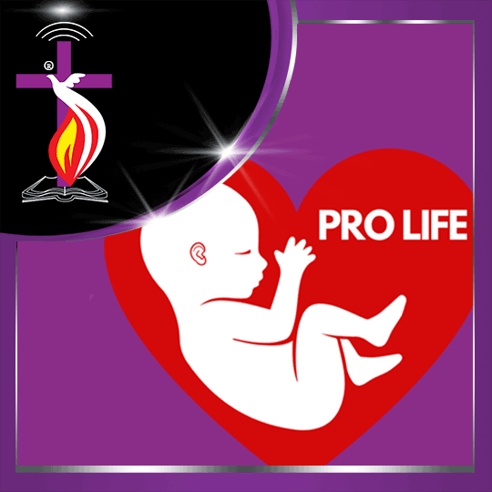 Pro Vida